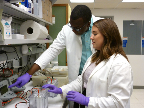 Two lab members working